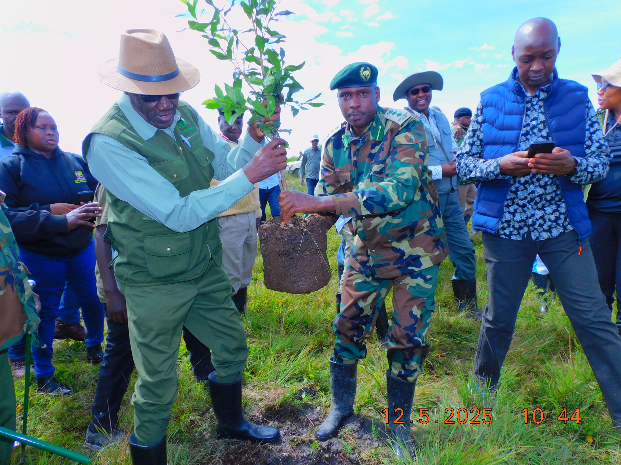 SASRA and Cooperative Sector Lead Massive Tree Planting Drive to ...